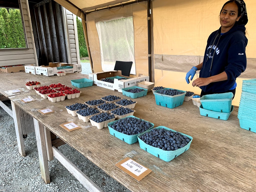 GL Farms Berry Stand | 34742 Trans Canada Trail, Abbotsford, BC V2S 7Z1, Canada | Phone: (604) 825-2536