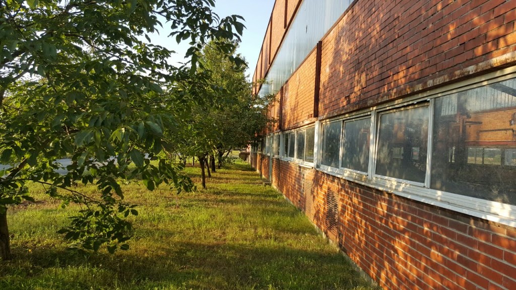 Multitrade Srb | 2312 Folkway Dr, Mississauga, ON L5L 3B6, Canada | Phone: (416) 892-3108