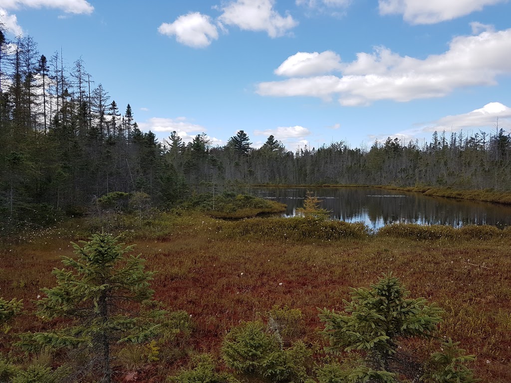 Parc écoforestier de Johnville | 3999 Chemin North, Cookshire-Eaton, QC J0B 1M0, Canada | Phone: (819) 566-5600