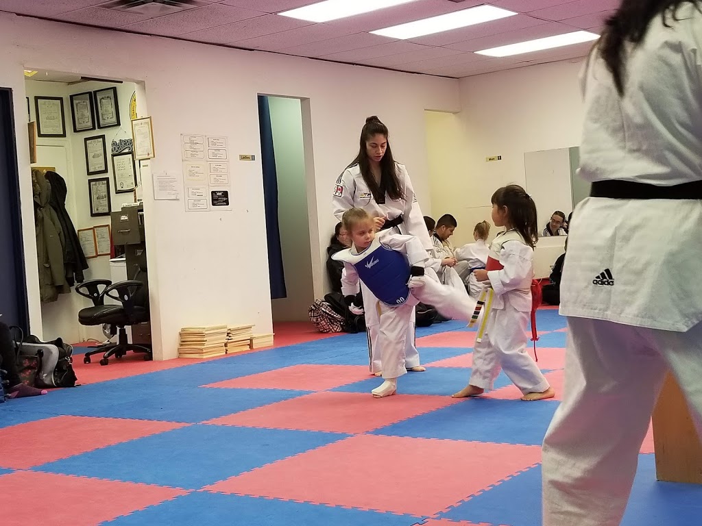 Mountain Taekwondo Do Jang Edmonton | 12930 50 St NW #204, Edmonton, AB T5A 4L2, Canada | Phone: (780) 414-0817