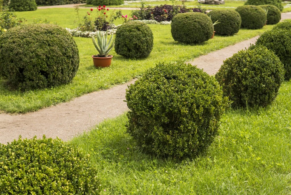 Expert Landscaping Lethbridge | CC, 2715 28 St S Unit 309, Lethbridge, AB T1K 8J9, Canada | Phone: (587) 742-0515