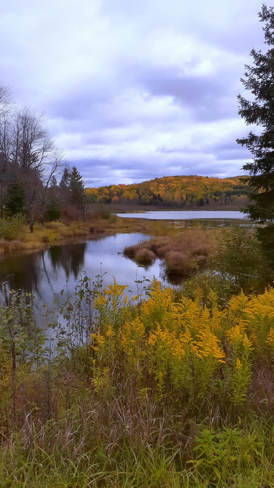 Bancroft Campground | 98 Bird Lake Rd, Bancroft, ON K0L 1C0, Canada | Phone: (613) 334-9957