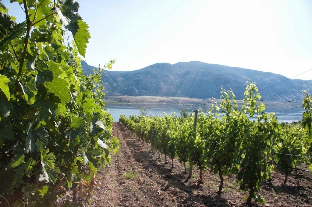 La Stella Winery | 8123 148 Ave, Osoyoos, BC V0H 1V2, Canada | Phone: (250) 495-8180