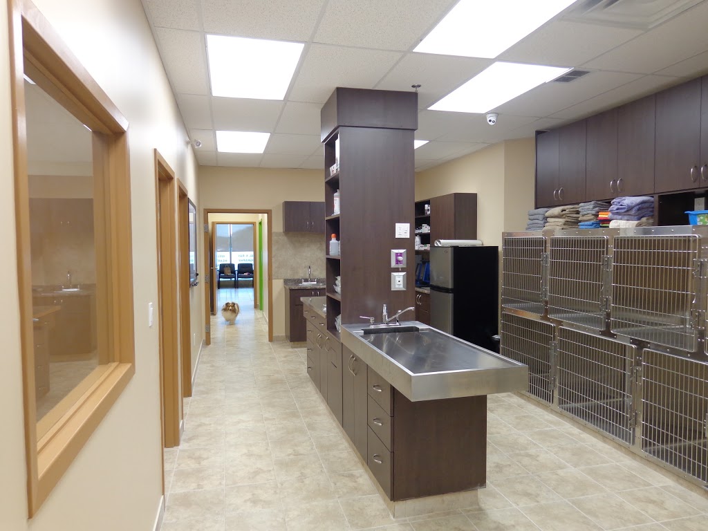 Upper Oakville Pet Hospital | 1011 Upper Middle Rd E a12, Oakville, ON L6H 4L2, Canada | Phone: (905) 338-8387