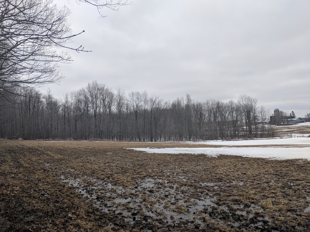 J-F Besner sugar shack | South Glengarry, ON K0C 1Z0, Canada | Phone: (613) 662-2570
