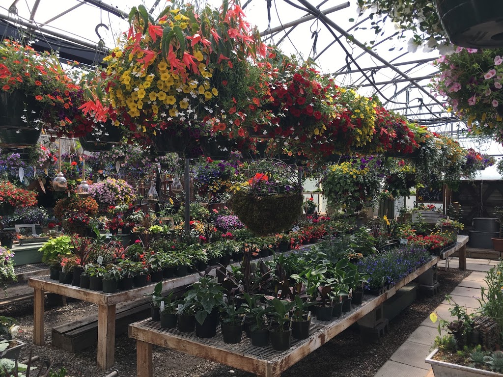 Aspen Ridge Greenhouses | 52257 Range Rd 231 #7, Sherwood Park, AB T8B 1A7, Canada | Phone: (780) 464-5527