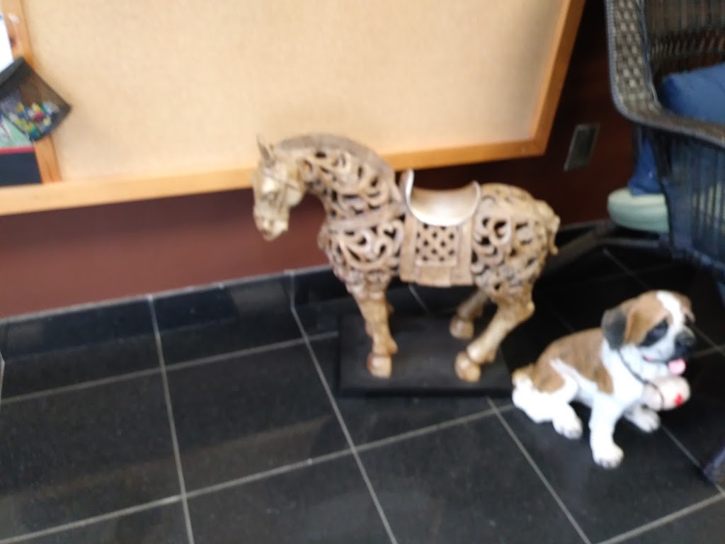 Greenhawk Equestrian Sport - McLaughlin | 5665 McLaughlin Rd, Mississauga, ON L5R 3K5, Canada | Phone: (905) 238-0311