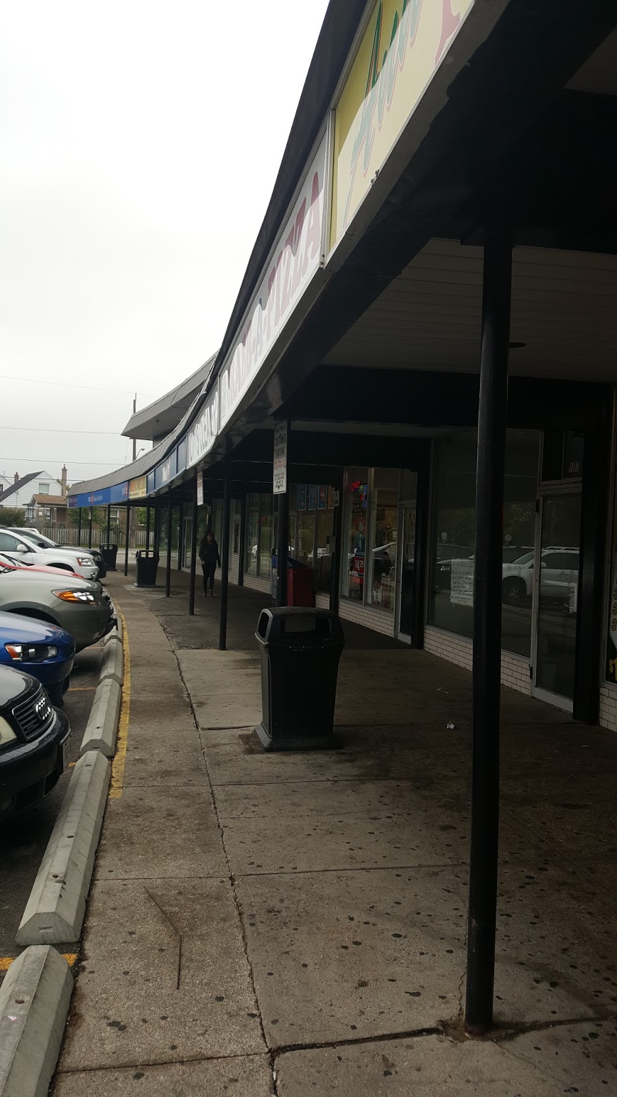 Elmhurst Plaza | 2428 Islington Ave, Etobicoke, ON M9W 3X8, Canada | Phone: (416) 747-0856
