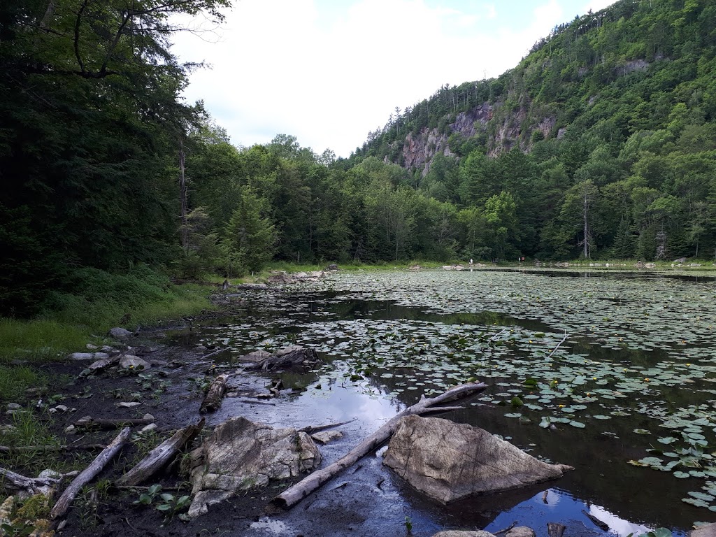 Alfred Kelly Nature Reserve | 1272 Rue de la Traverse, Prévost, QC J0R 1T0, Canada