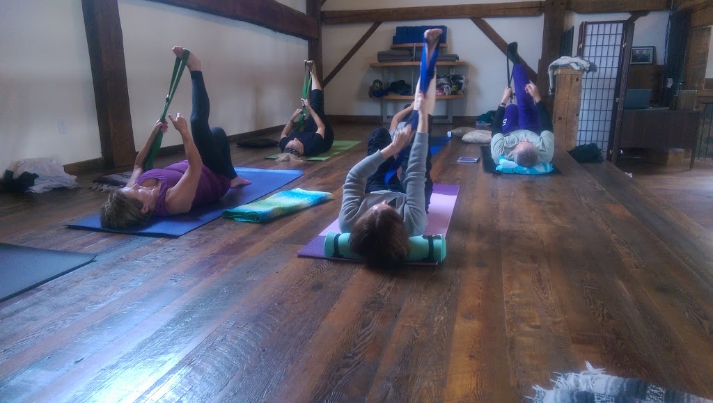 Yoga for Sore Bodies / Yoga Therapy Studio | 56 Alice St W #29, Thornbury, ON N0H 2P0, Canada | Phone: (705) 888-9686
