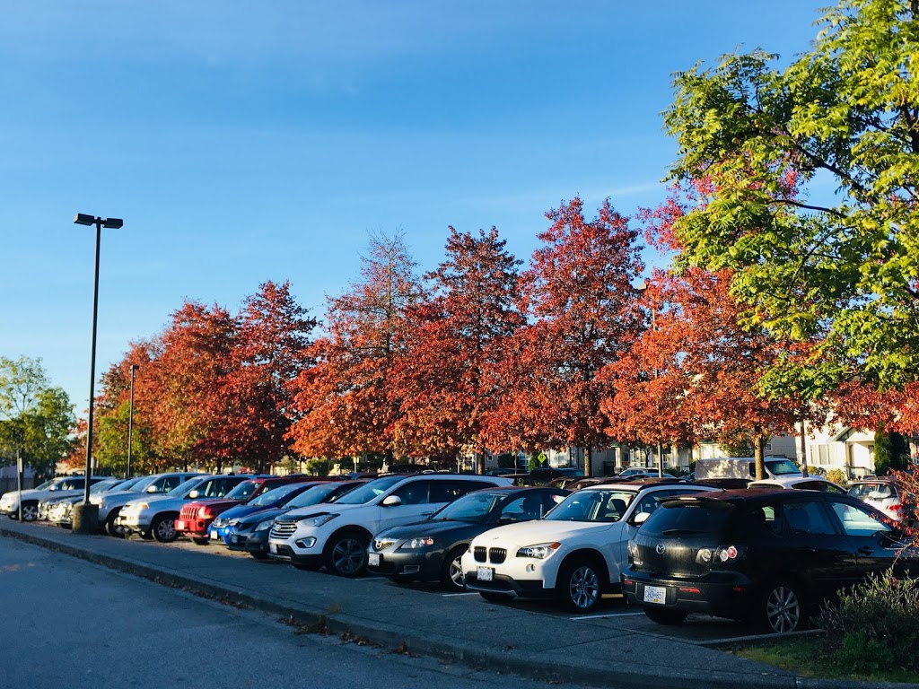 Blakeburn Elementary | 1040 Riverside Dr, Port Coquitlam, BC V3B 8A7, Canada | Phone: (604) 944-9037