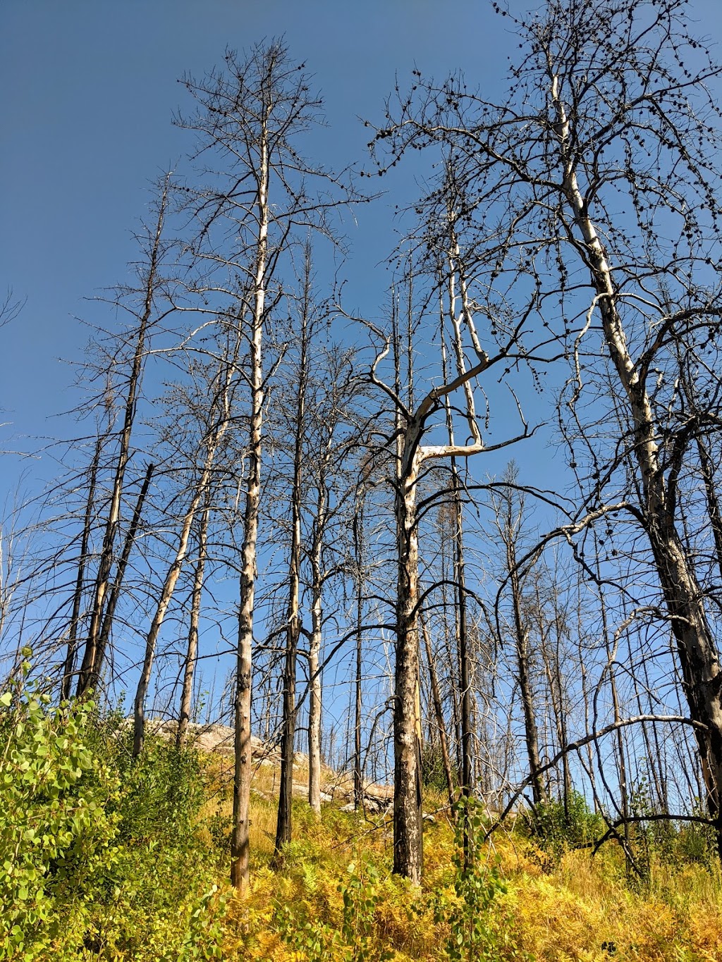 Whiteshell River Self-guiding Trail | MB-312, Whiteshell, MB R0E 2H0, Canada | Phone: (204) 369-3157