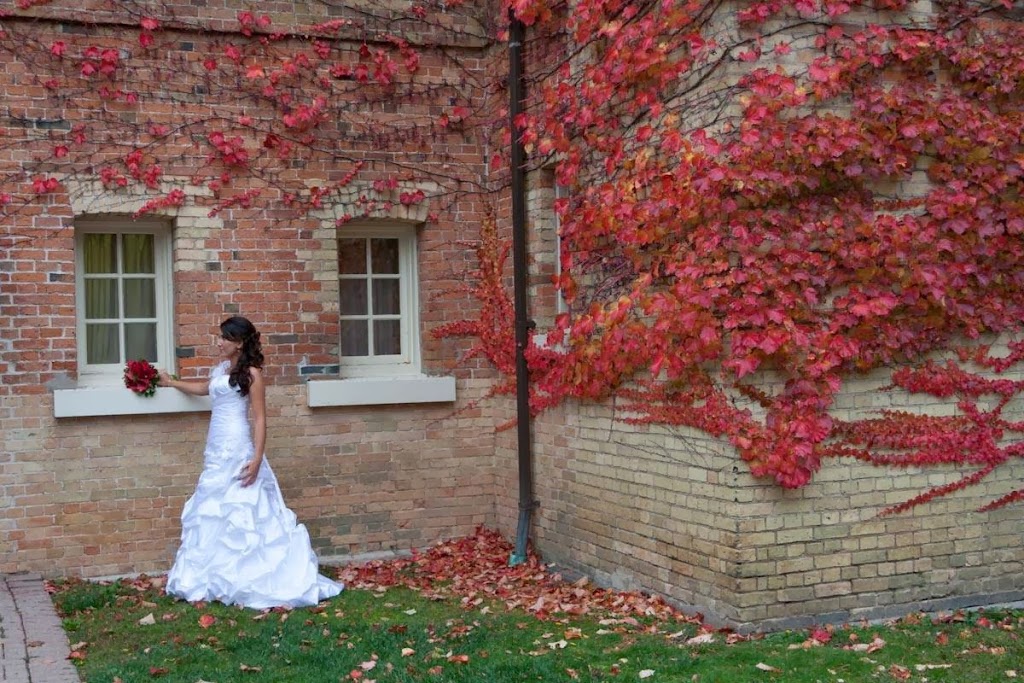 Yaron Reich Photography | 86 Glendale Dr, Tillsonburg, ON N4G 4N2, Canada | Phone: (519) 688-9491