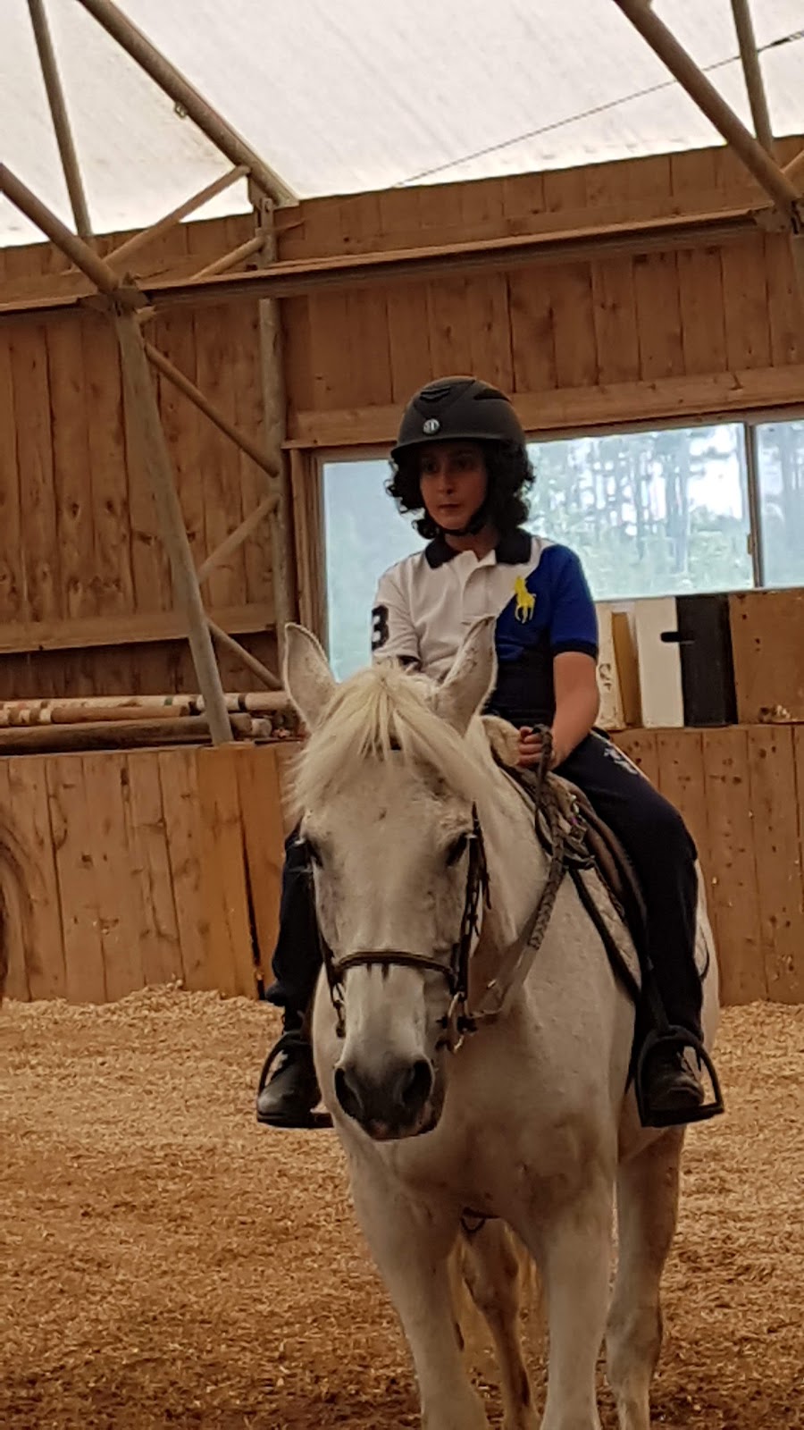 Restless Pines Farm | 1418 Lucasville Rd, Hammonds Plains, NS B4B 1P7, Canada | Phone: (902) 835-7433