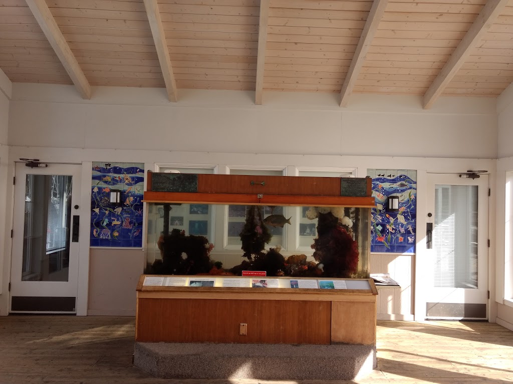 Spring Street Landing | Salish Sea, Friday Harbor, WA 98250, USA | Phone: (425) 277-1590