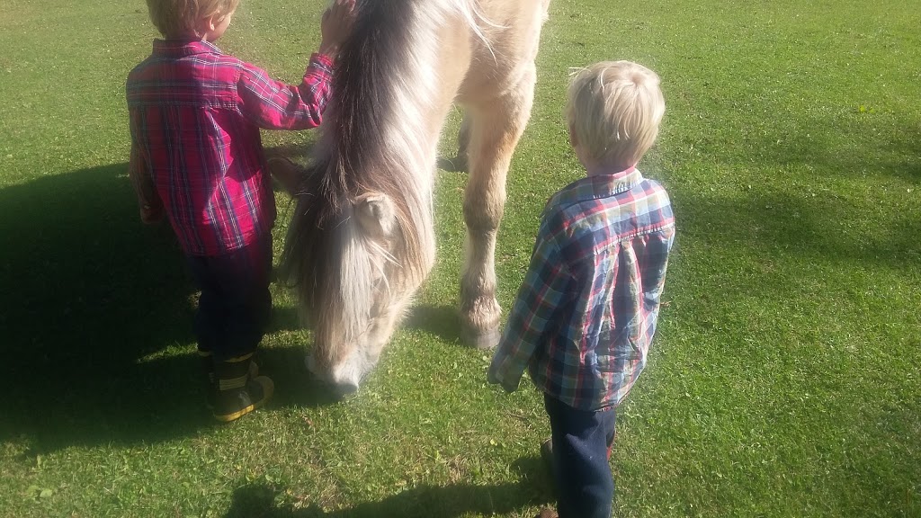 Homeplace Ranch | Foothills No. 31, AB T0L 1W0, Canada | Phone: (403) 969-4444