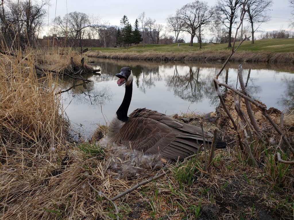 Seine River Greenway’s Trail | Winnipeg, MB R3X, Canada | Phone: (204) 986-4966