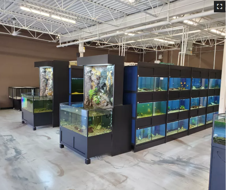 MrPets | 2967 Kilpatrick Ave, Courtenay, BC V9N 8P1, Canada | Phone: (250) 871-7755