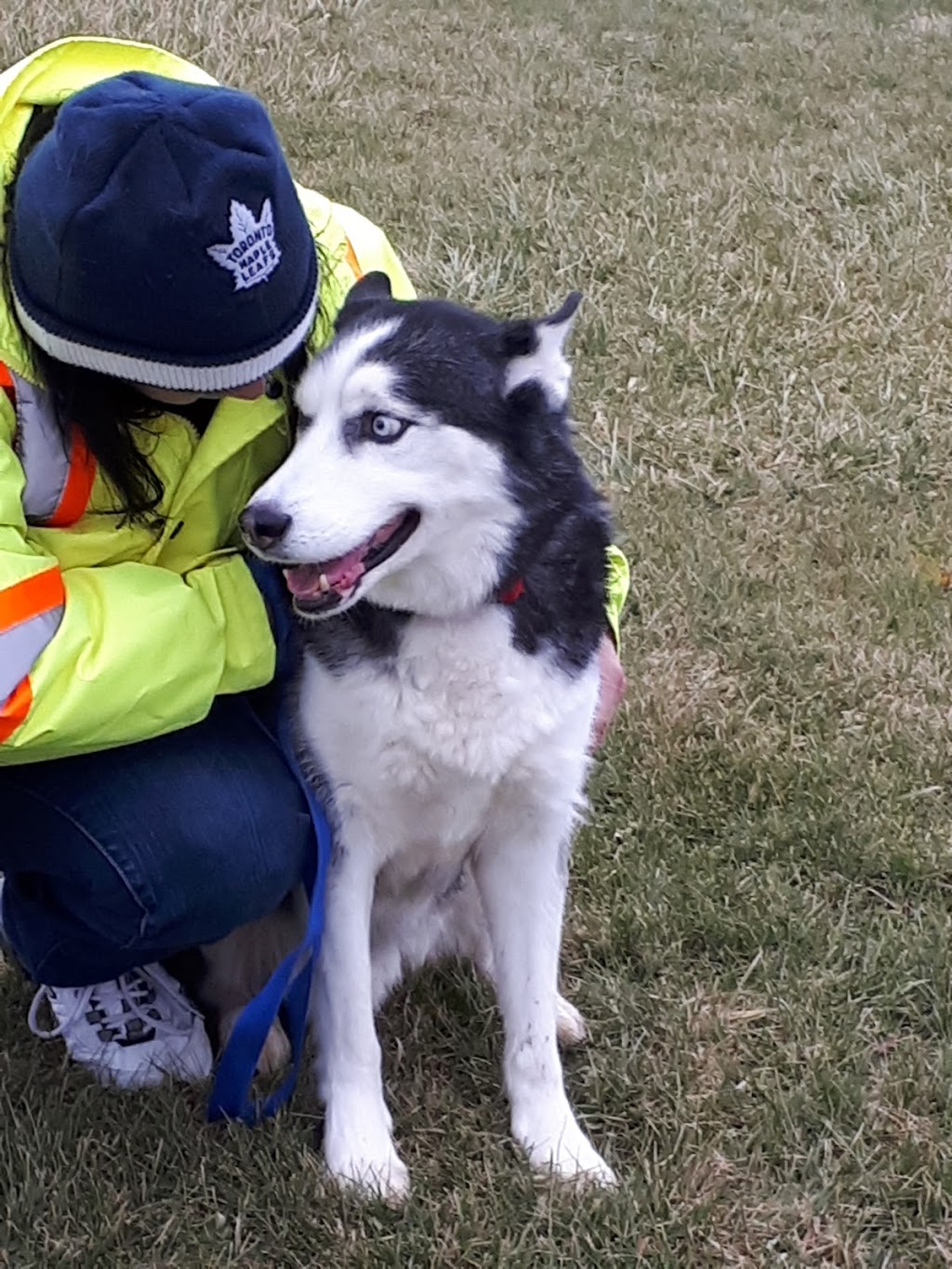 Niagara Falls Humane Society | 6025 Chippawa Pkwy, Niagara Falls, ON L2G 0E4, Canada | Phone: (905) 356-4404