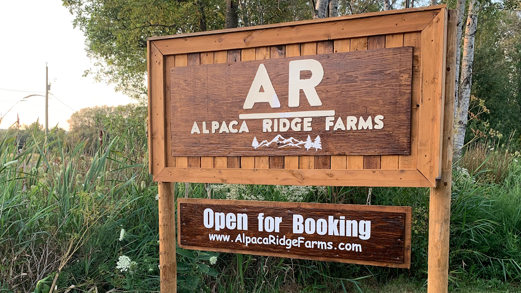 Alpaca Ridge Farms | 152 Smith Rd, Stirling, ON K0K 3E0, Canada | Phone: (705) 928-6773