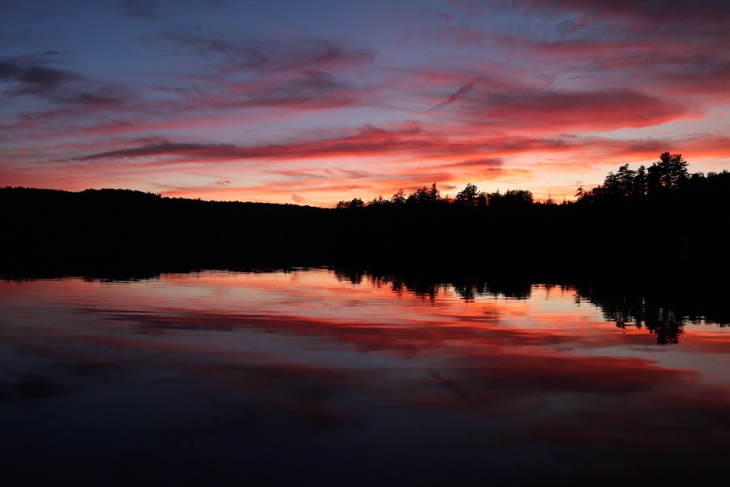 Wild Wild Rest | 1194 Dignan Rd, Haliburton, ON K0M 1S0, Canada | Phone: (416) 540-6178