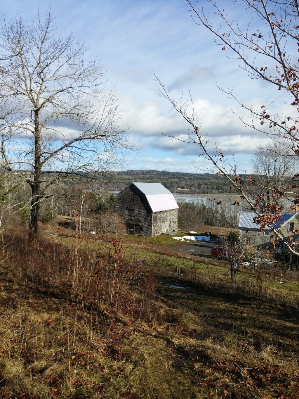 Meadowood | 273 Sarty Rd, Wentzells Lake, NS B4V 8V9, Canada | Phone: (902) 543-0352