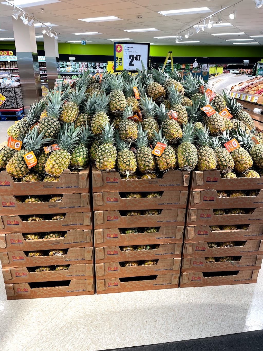 Freshco Pembina | 1319 Pembina Hwy, Winnipeg, MB R3T 2B6, Canada | Phone: (204) 284-3824