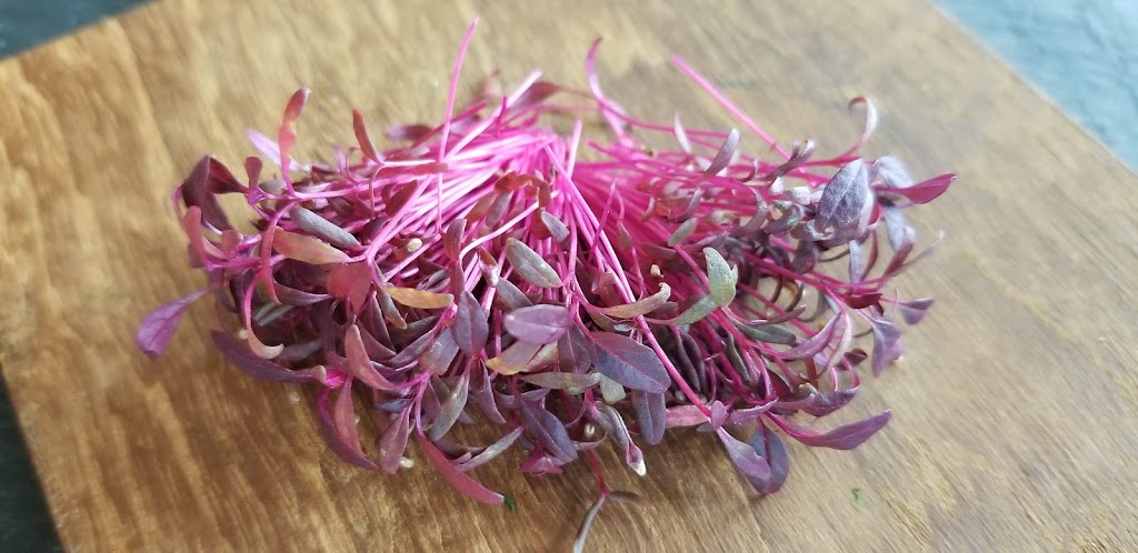 Perks Microgreens | 5872 Sycamore St, Duncan, BC V9L 3E4, Canada | Phone: (250) 216-2877