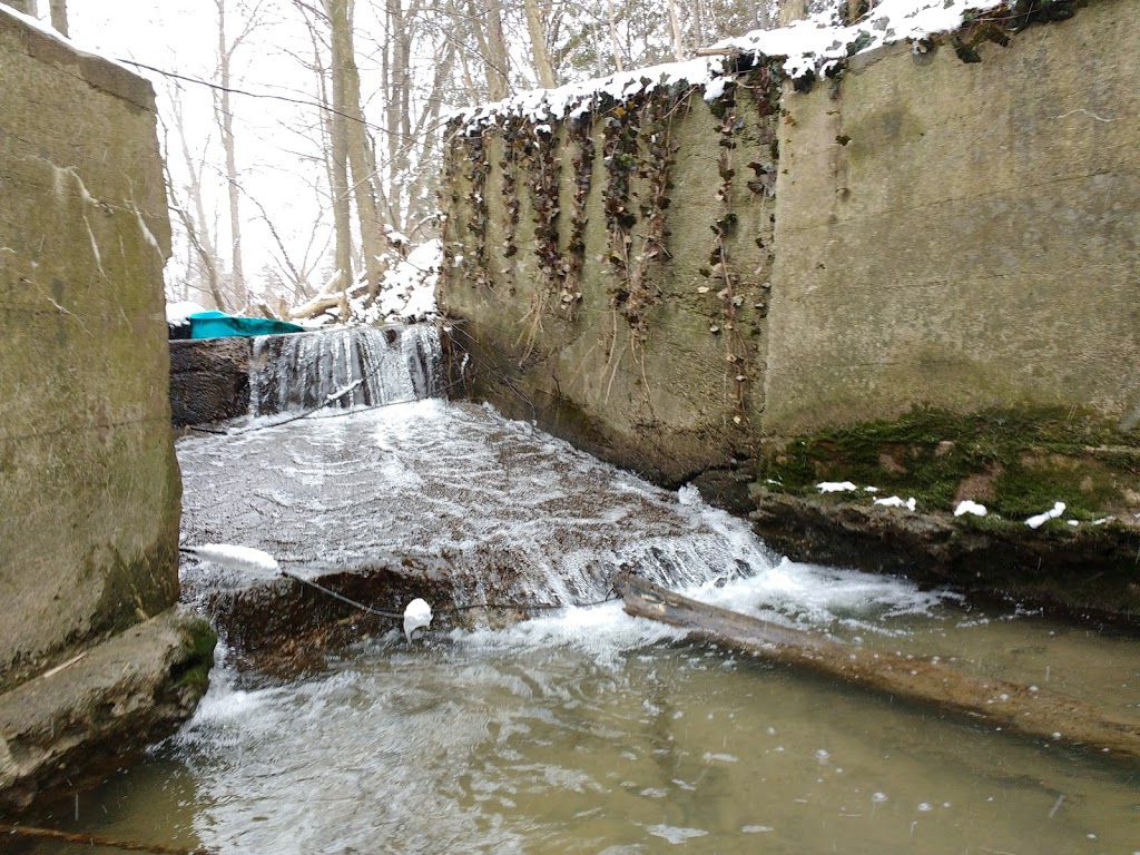 Perch Creek Habitat Area | 1838-1902 Churchill Line, Sarnia, ON N7T 7H3, Canada