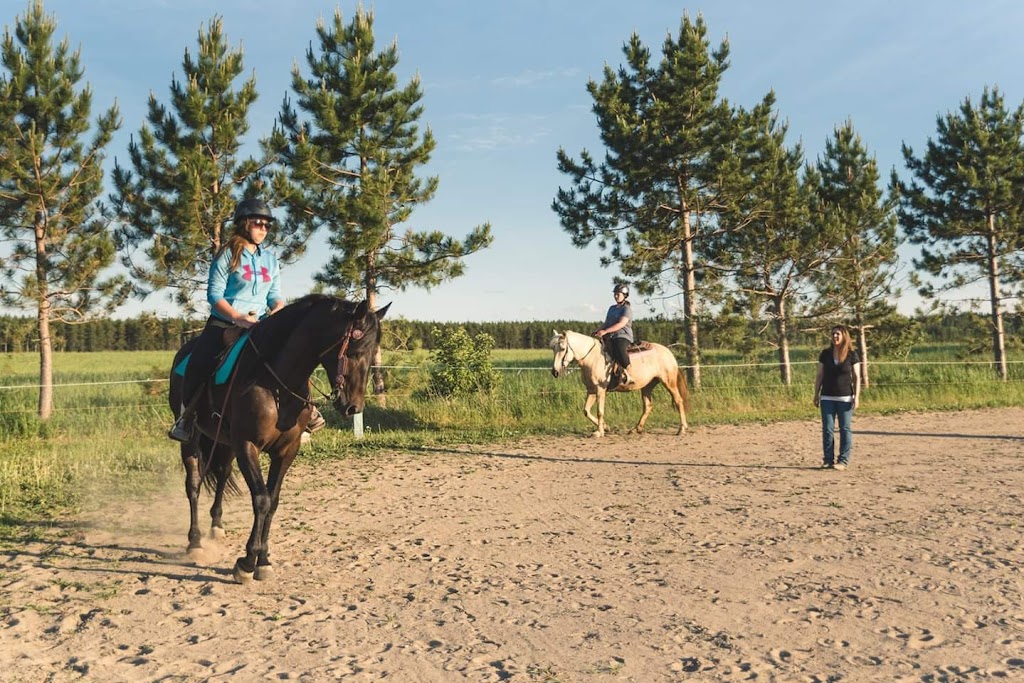 Cheval Concept | 149 Rue Laforest, Saint-Prime, QC G8J 1M5, Canada | Phone: (418) 900-1078