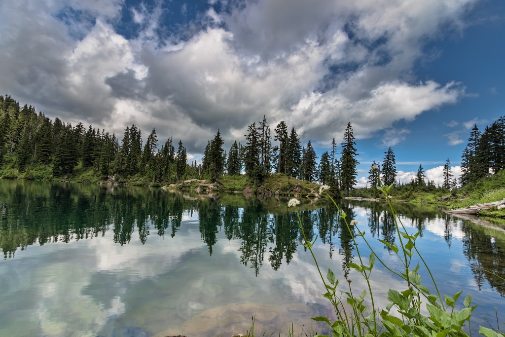 Blue Lake/Dock Butte Trailhead | NF-1230, Concrete, WA 98237, USA | Phone: (425) 783-6000