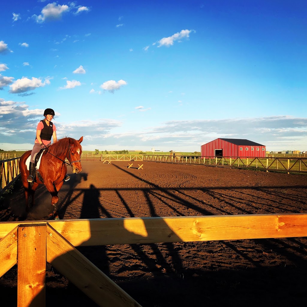 Fidelity Equestrian Centre (FEC) | Site 14, Box 63, RR1, Strathmore, AB T1P 1J6, Canada | Phone: (403) 797-0982