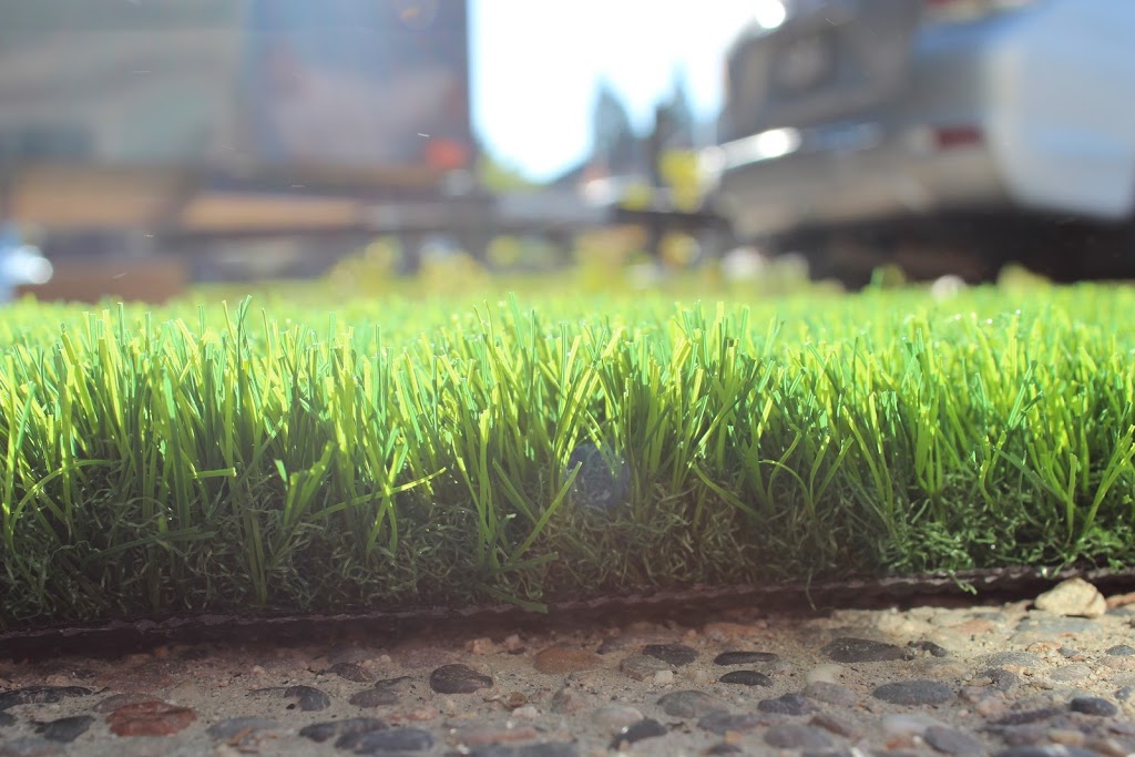 Premium Grass Blades | 20285 Stewart Crescent Unit 102, Maple Ridge, BC V2X 8G1, Canada | Phone: (604) 757-2899