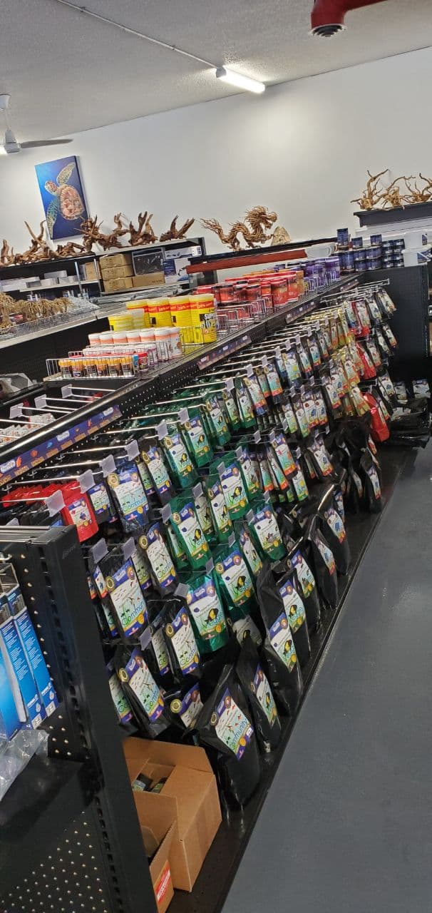Tropical Gems | 165 Wellington St W Units 5&6, Barrie, ON L4N 1L7, Canada | Phone: (705) 999-9600