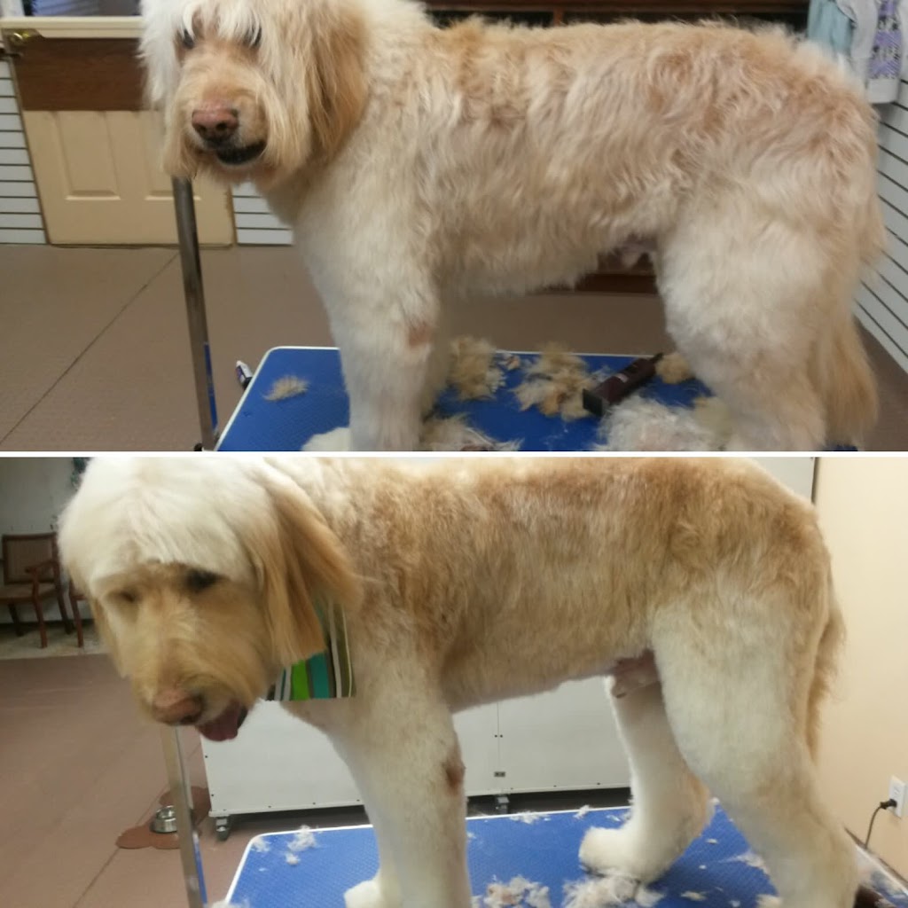 Woof N Cuts | 50 Dr Kay Dr, Schomberg, ON L0G 1T0, Canada | Phone: (905) 939-9339