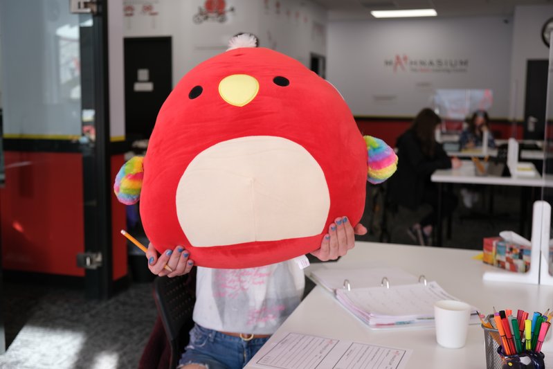 Mathnasium of Red Deer | 5250 22 St #30B, Red Deer, AB T4R 2T4, Canada | Phone: (403) 872-6284