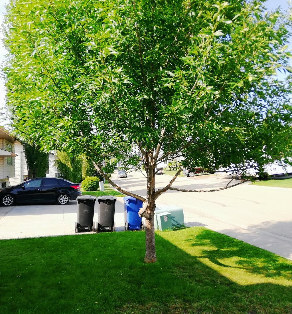 LETS GREEN | Box 851, 1807 20 St, Bowden, AB T0M 0K0, Canada | Phone: (403) 438-4006