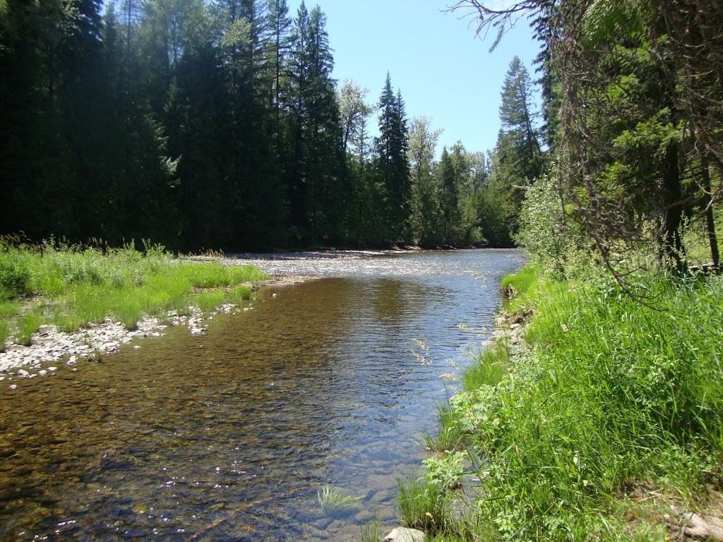 Yahk Motel & Campground | BC-3 & BC-95, Yahk, BC V0B 2P0, Canada | Phone: (250) 424-5556