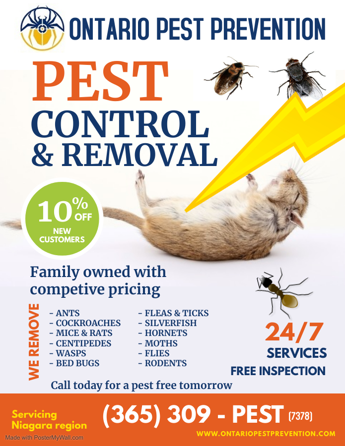 Ontario Pest Prevention | 5545 Blezard Dr, Beamsville, ON L0R 1B3, Canada | Phone: (365) 309-7378