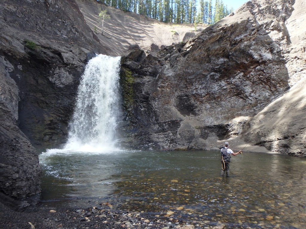 Trout Tracker Fishing & Guide Company | Calgary, AB T3M 0P9, Canada | Phone: (403) 880-3800