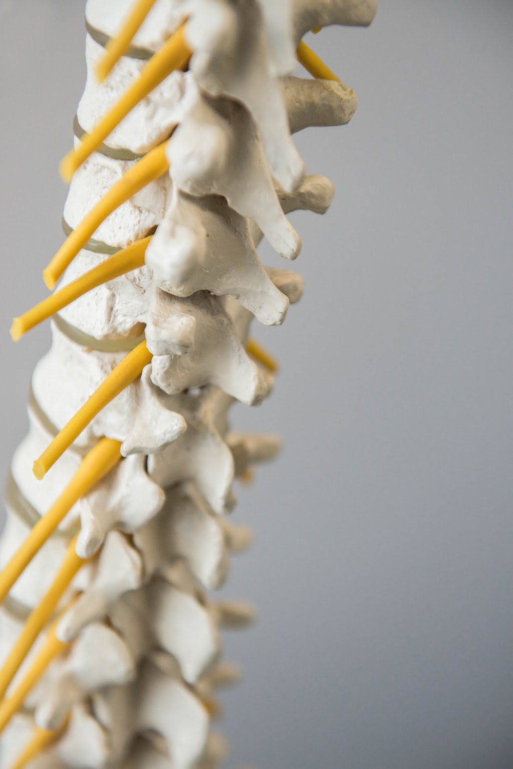 Warman Physiotherapy & Wellness | 105 Klassen St Box 2239, Warman, SK S7K 4S0, Canada | Phone: (306) 373-9355