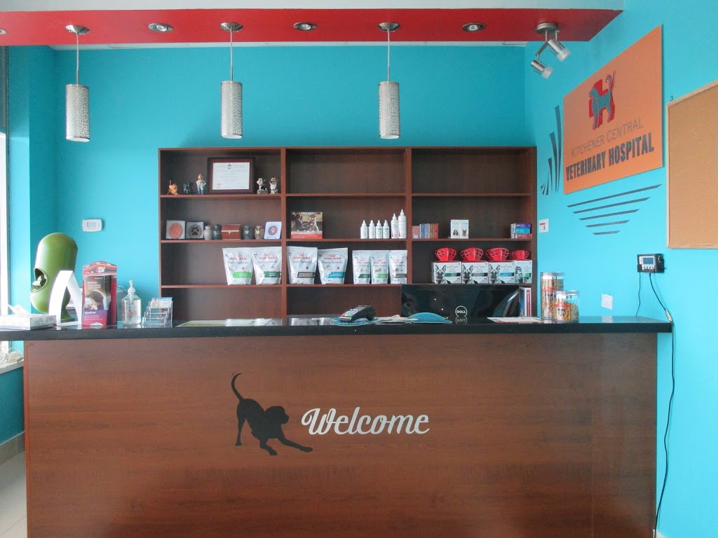 Kitchener Central Veterinary Hospital | 720 Westmount Rd E #6, Kitchener, ON N2E 2M6, Canada | Phone: (519) 570-0092