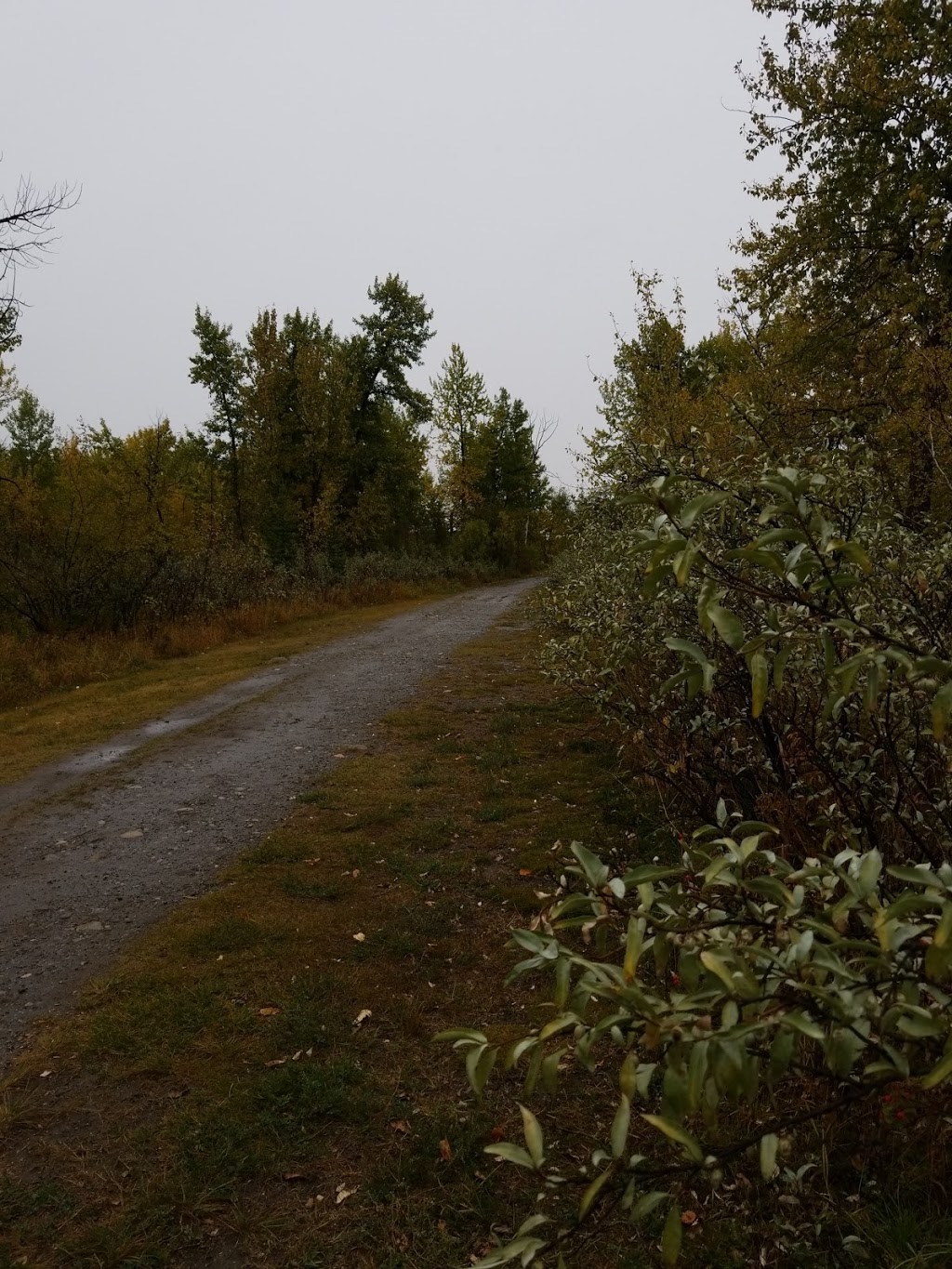 Black Diamond Offleash Park | 218 2 St NW, Black Diamond, AB T0L 0H0, Canada | Phone: (587) 888-3925