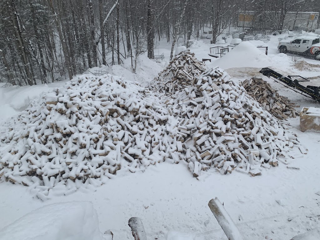 Bois chauffage dionne | Quebec City, QC G2G 2G5, Canada | Phone: (418) 933-9836
