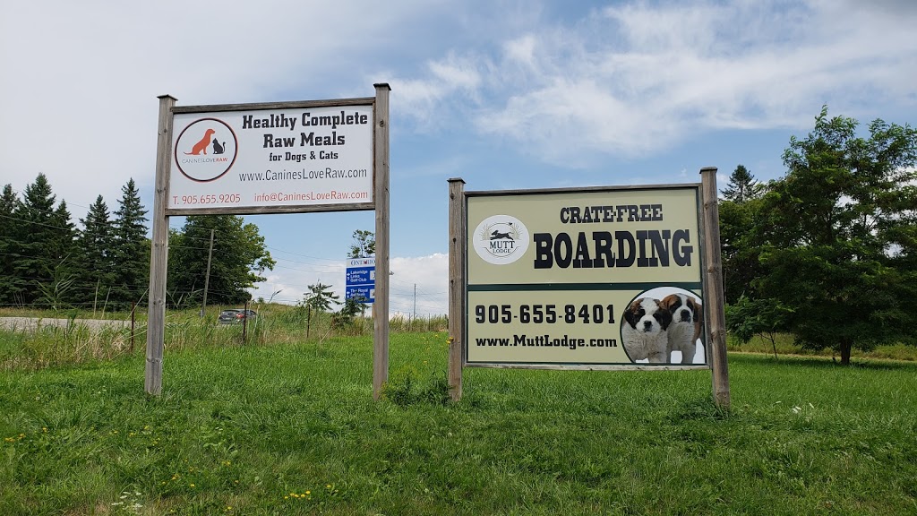 Mutt Lodge | 3325 ON-7, Pickering, ON L1X 2W3, Canada | Phone: (905) 655-8401