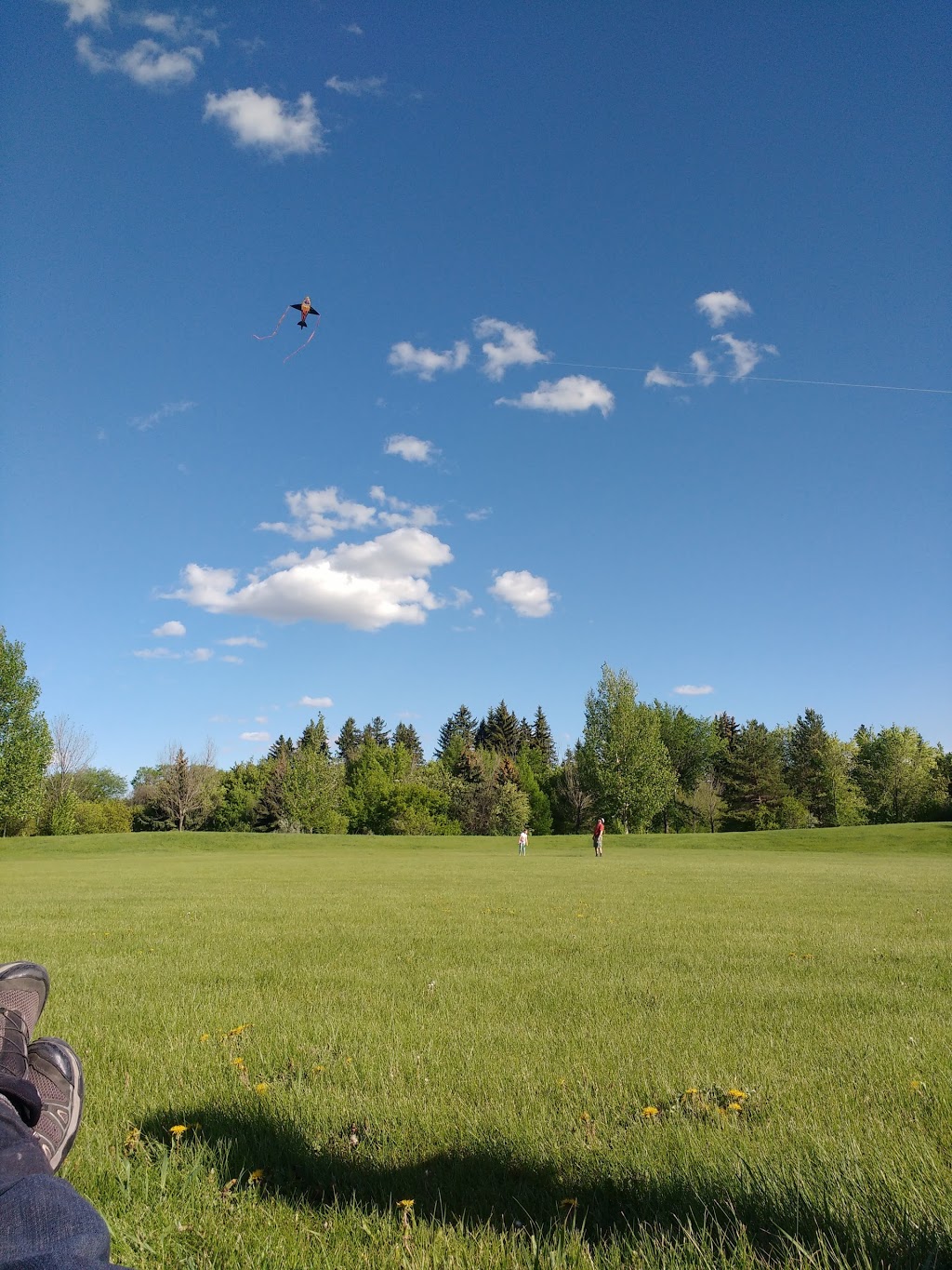 Holiday Park | 1205 Schuyler St, Saskatoon, SK S7M 1L1, Canada | Phone: (306) 975-3300