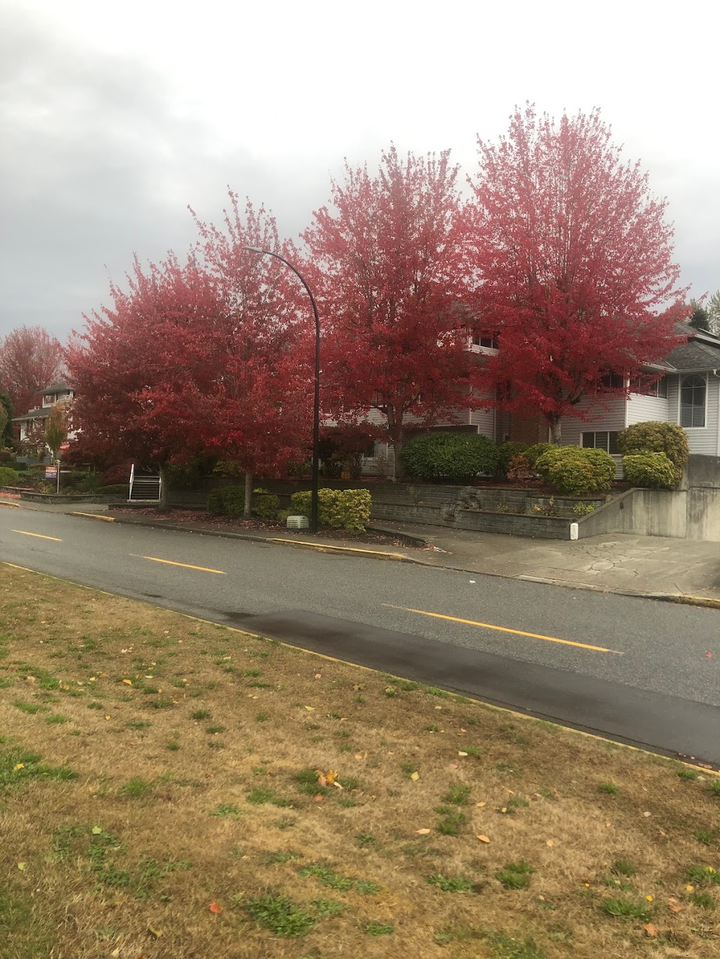 Brickwood Park | Maple Ridge, BC V2X 6E2, Canada | Phone: (604) 467-7346