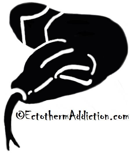 Ectotherm Addiction | 788030 Grey County Rd 13, Clarksburg, ON N0H 1J0, Canada | Phone: (905) 329-2511