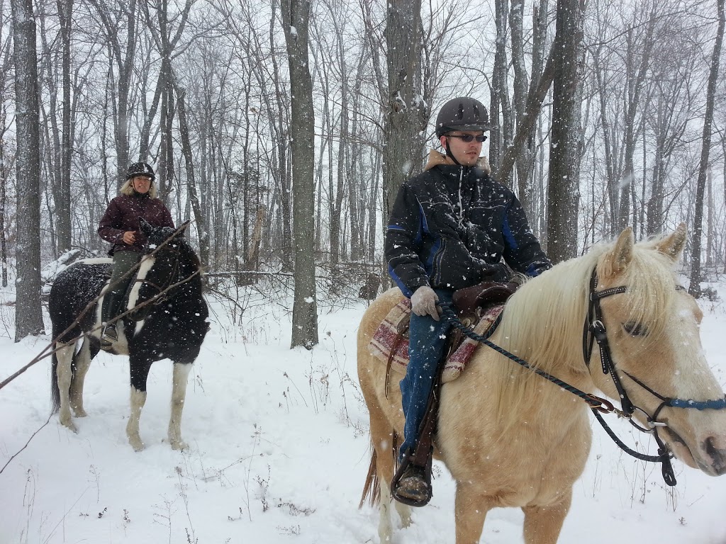 Iles Farms | 1182 Road 2 W, Kingsville, ON N9Y 2E4, Canada | Phone: (519) 791-4714