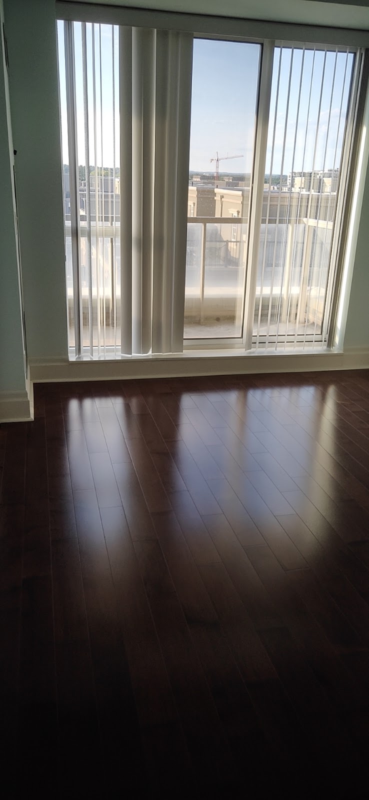 Dolphin Cleaning 海豚清洁 | 95 Mural St unit 102, Richmond Hill, ON L4B 3G2, Canada | Phone: (905) 882-5281